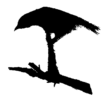 Poètes de brousse